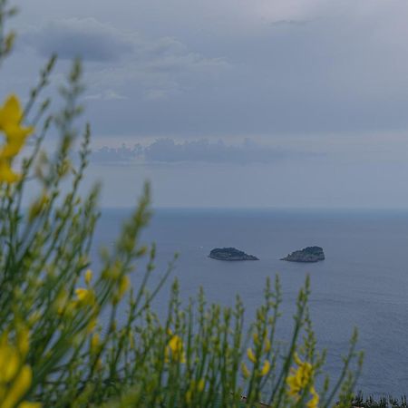 Villa La Pace Sant'Agnello Buitenkant foto