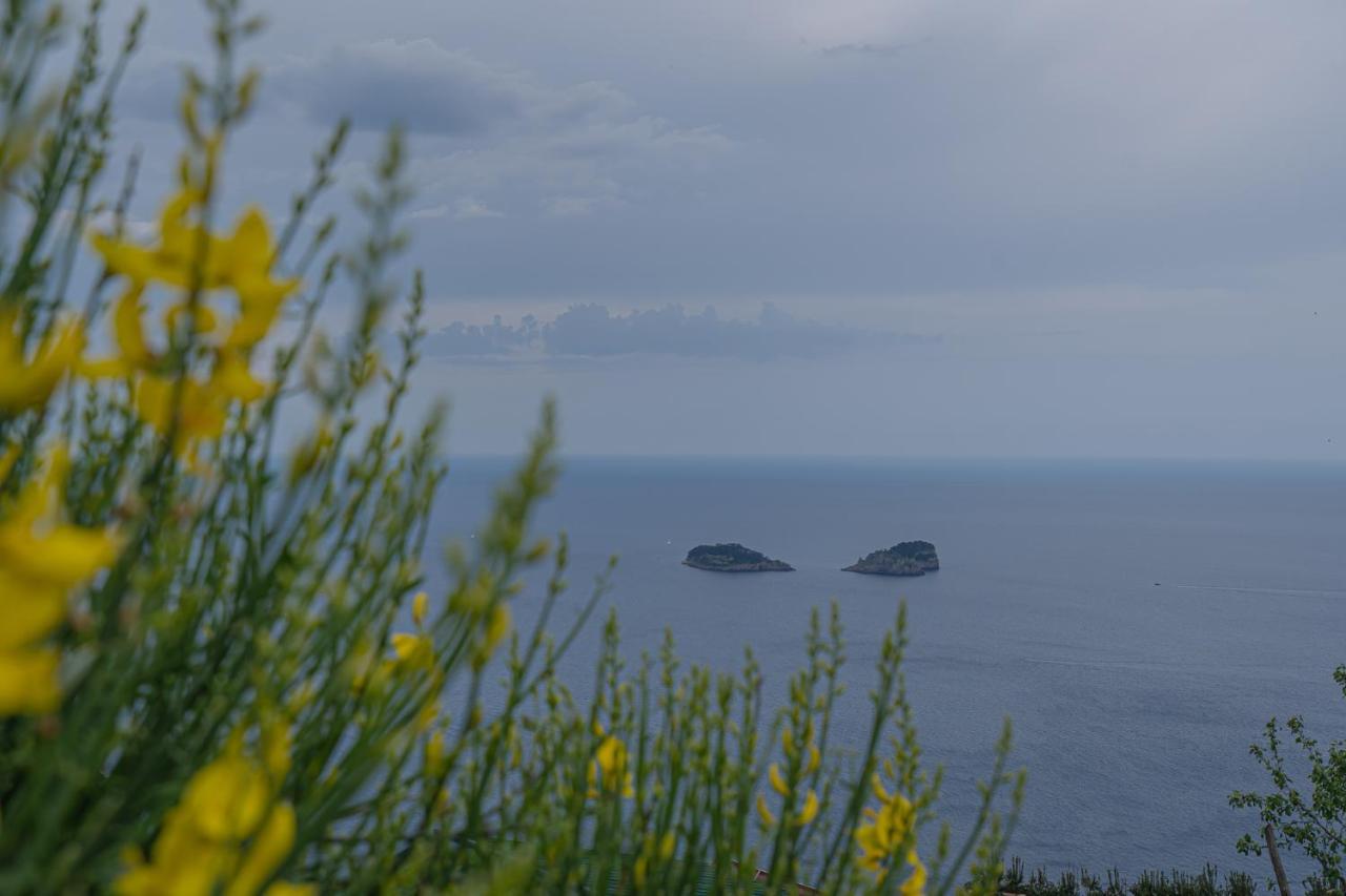 Villa La Pace Sant'Agnello Buitenkant foto