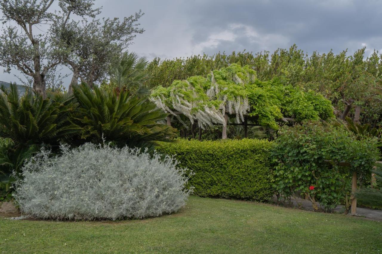 Villa La Pace Sant'Agnello Buitenkant foto