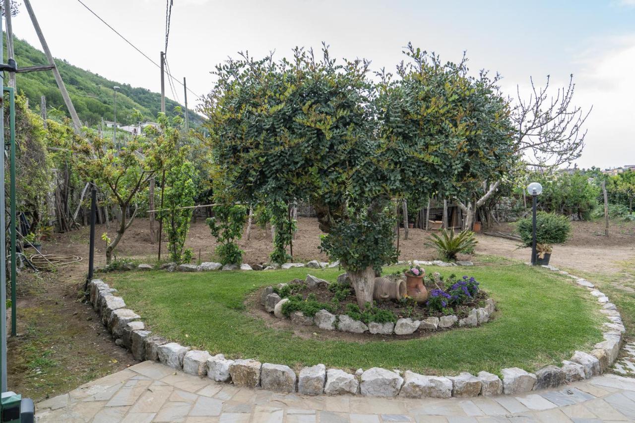 Villa La Pace Sant'Agnello Buitenkant foto