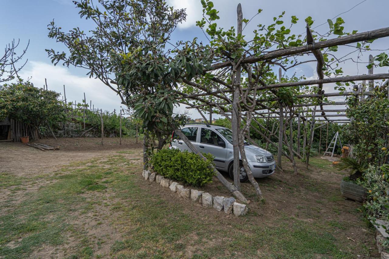 Villa La Pace Sant'Agnello Buitenkant foto